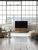 CANVAS HiFi with Swivel Stand lifestyle image