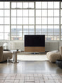 CANVAS HiFi with Swivel Stand lifestyle image