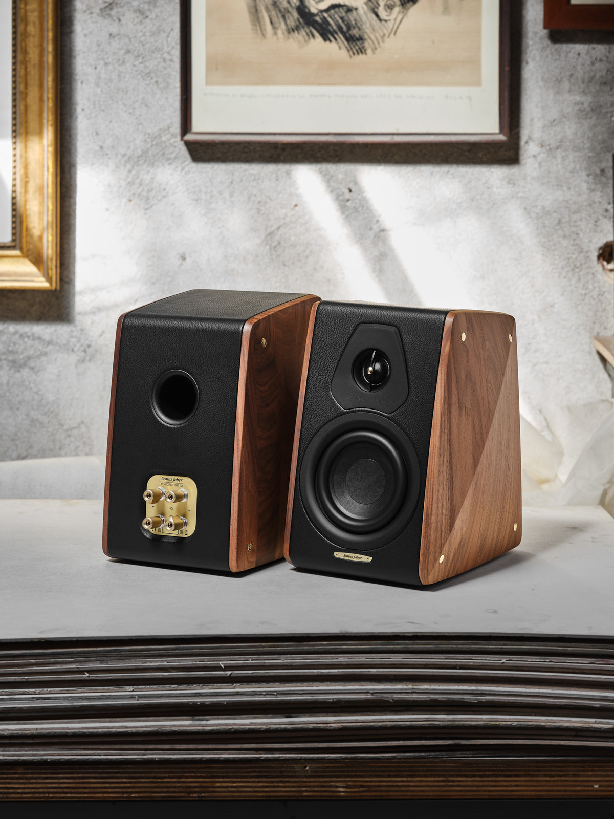 Sonus faber Concertino G4 pair showing front and rear cabinet