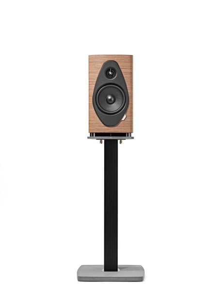 Sonus faber Sonetto II G2 in Walnut on optional Sonetto G2 stand, front view