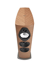 Sonus faber Sonetto V G2 Walnut top-down driver and veneer detail